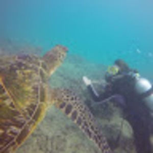 Meet your Posher, Jacolyn